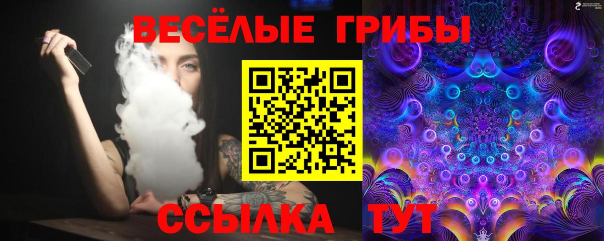 Галлюциногенные грибы GOLDEN TEACHER  Псилоцибиновые грибы Magic Shrooms  Кизляр  Вход с VPN 
